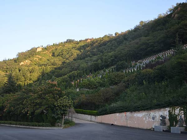 西安白鹿原公墓與西安高橋墓園在地理位置上各有哪些優勢？