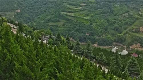 西安高橋墓園的墓碑價格是如何確定的,有哪些因素會影響墓碑的最終價格?