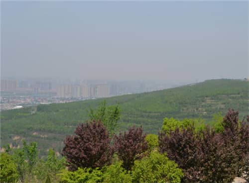 高橋墓園提供了哪些安葬方式，并簡述其特點？