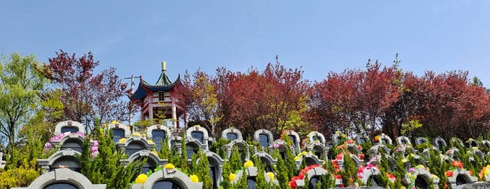 西安白鹿原公墓:清明時節的祭掃指南