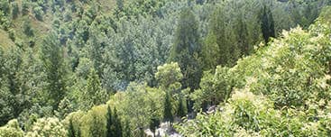 西安蘭田鳳凰嶺公墓介紹(藍(lán)田縣三里鎮(zhèn)鳳凰嶺)
