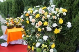 西安正規(guī)樹葬墓園價位