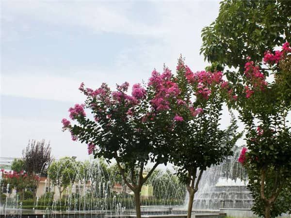 西安南郊陵園