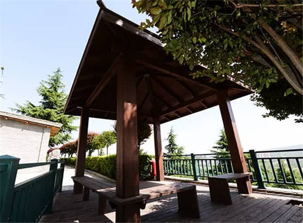 西安陵園中的樹葬有哪些特點,它如何體現了環保和節約的理念?