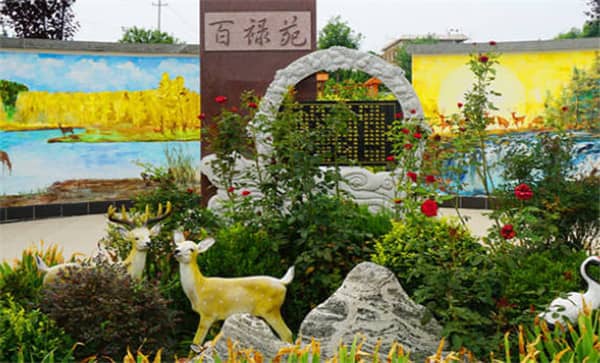 西安公墓墓地的朝向有哪些具體的講究和注意事項?